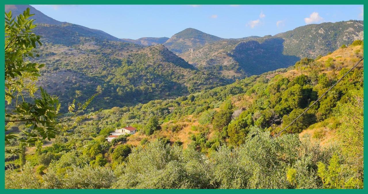 Appartement Kampos View Ikaria à Evdilos  Extérieur photo